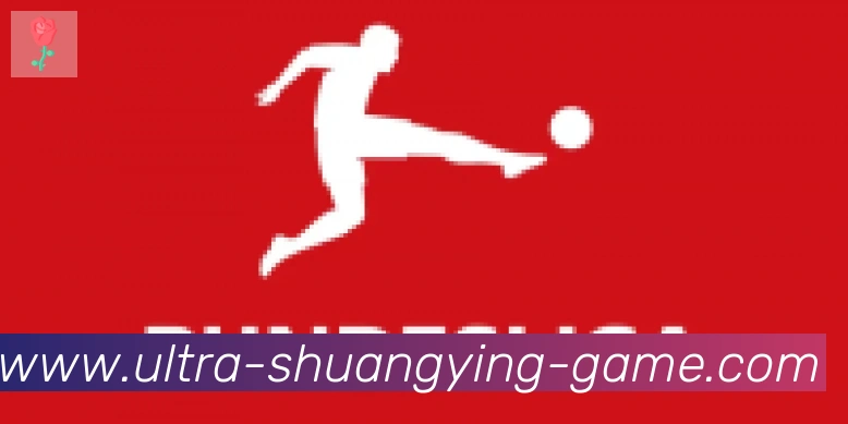 双赢彩票入口合作伙伴